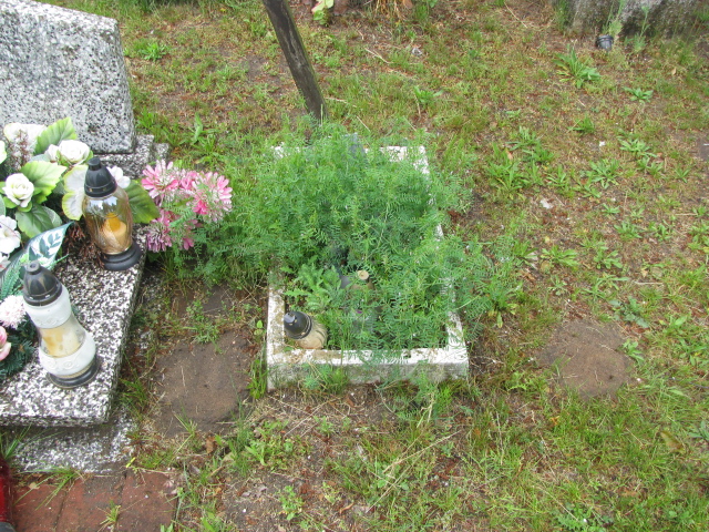 Andrzej Grodzki 1972 Białogard - Grobonet - Wyszukiwarka osób pochowanych