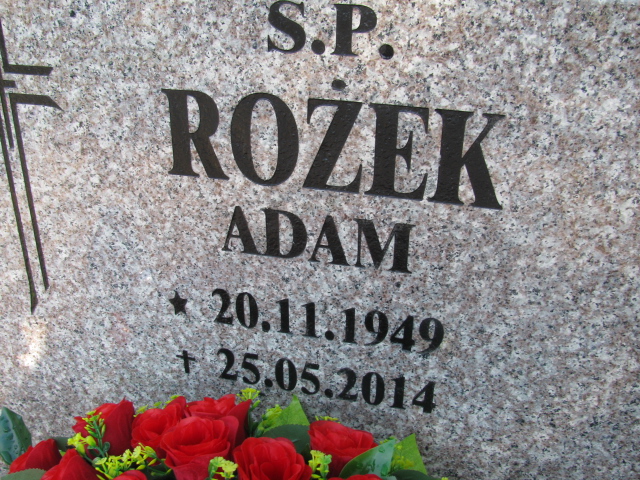 Adam Rożek 1949 Białogard - Grobonet - Wyszukiwarka osób pochowanych