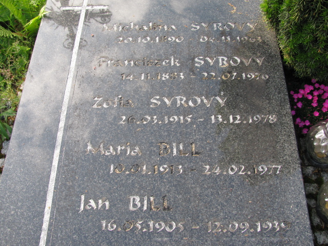 Michalina Syrowy 1890 Białogard - Grobonet - Wyszukiwarka osób pochowanych