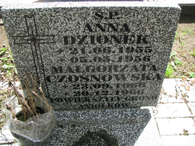 Anna Dzionek 1955 Białogard - Grobonet - Wyszukiwarka osób pochowanych