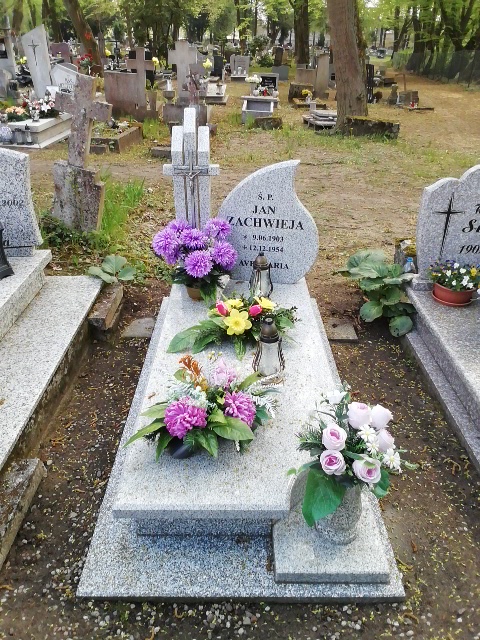 Jan Zachwieja 1903 Białogard - Grobonet - Wyszukiwarka osób pochowanych
