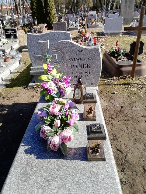 Sylwester Panek 1931 Białogard - Grobonet - Wyszukiwarka osób pochowanych