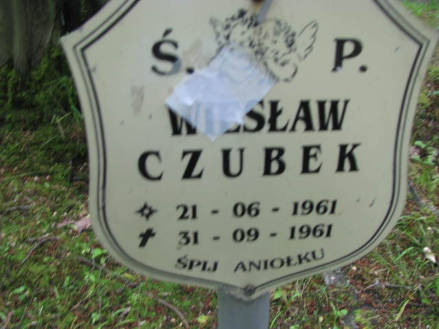 Grób Wiesław Czubek