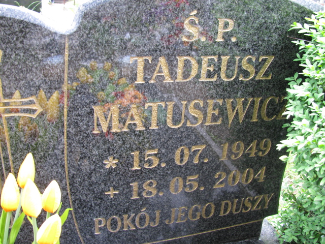 Tadeusz Matusewicz 1949 Białogard - Grobonet - Wyszukiwarka osób pochowanych