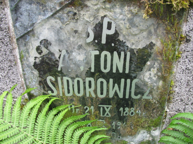 Antoni Sidorowicz 1884 Białogard - Grobonet - Wyszukiwarka osób pochowanych
