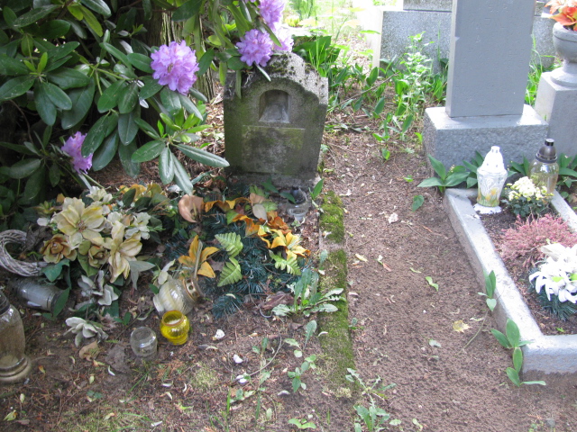 Janusz Gajewski 1944 Białogard - Grobonet - Wyszukiwarka osób pochowanych