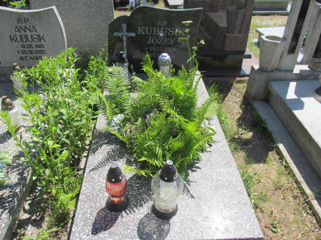 Grób Józef Kubusik