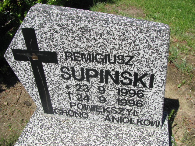 Grób Remigiusz Wołkowicz