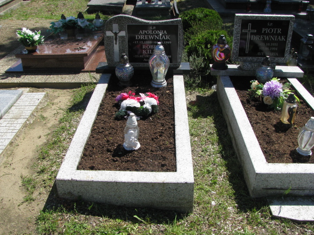Grób Apolonia Drewniak