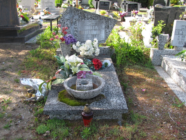 Grób Julia Michlewicz