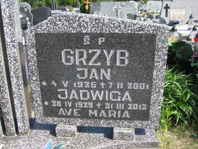 Grób Jan Grzyb